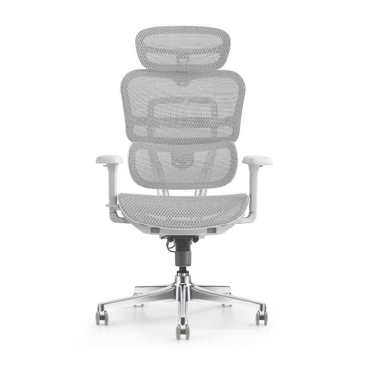Modern Ergonomic Office Chair with Adjustable 4D Armrest and 5D Multifunctional Headrest-Home Office Furniture detail 5