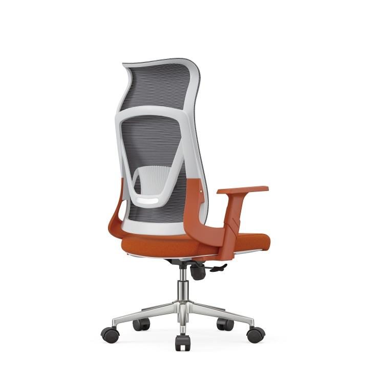 Minimalist Ergonomic Office Chair 360° Swivel Lumbar Support Height Adjustable Computer Chair for Staff Employee Office detail 2