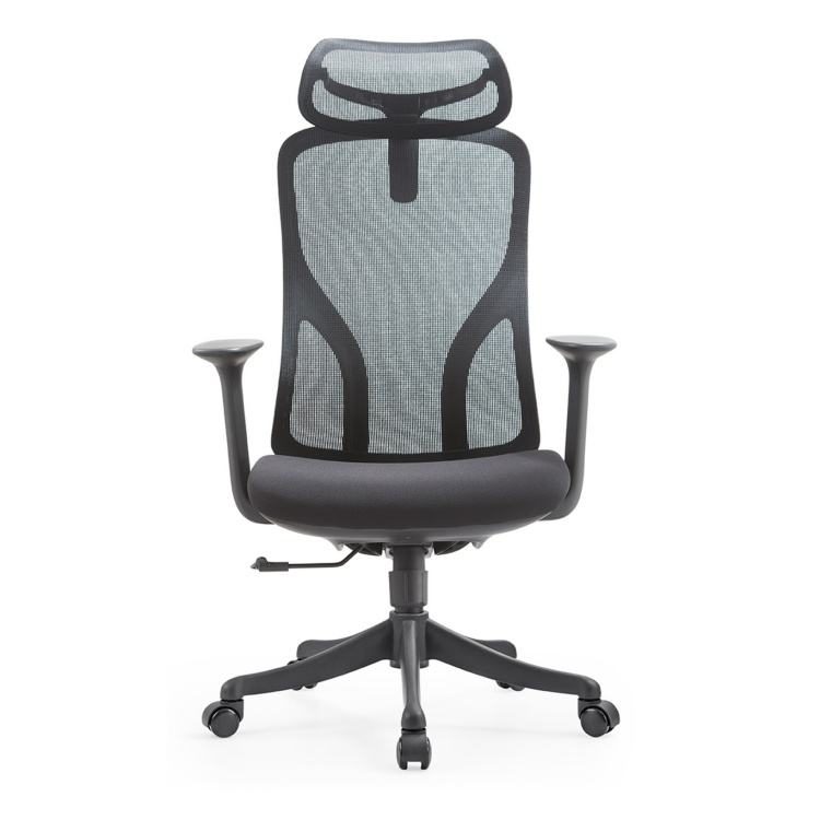 Ergonomic Adjustable Mesh Office Chair with Large Headrest In-Situation Locking-Modern Design Nylon Material Home Office Use detail 1
