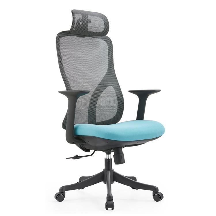 Modern Swivel Mesh Executive Ergonomic Office Chair Chrome Gas Lift High Elastic Comfortable Soft Sponge Cushion Hard Backrest detail 1