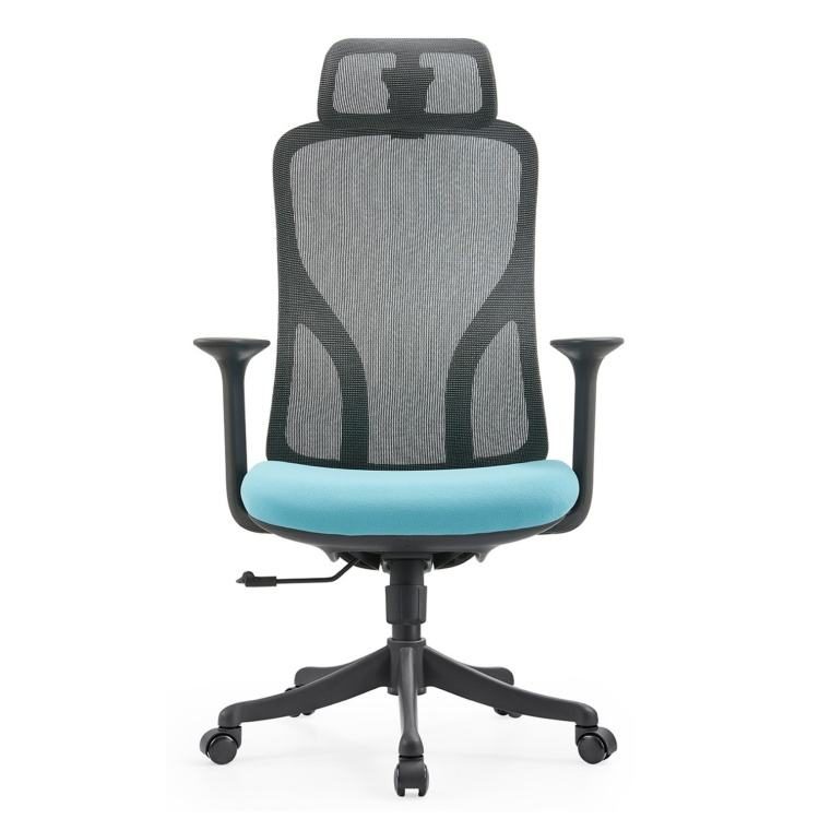 Modern Swivel Mesh Executive Ergonomic Office Chair Chrome Gas Lift High Elastic Comfortable Soft Sponge Cushion Hard Backrest detail 2