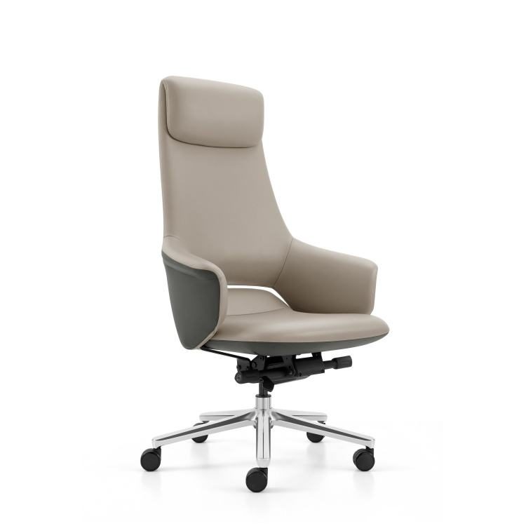 Executive Contemporary Ergonomic Leather Office Chair Fixed Headrest Fixed Armrests 360 Rotating Wide High-Back Office Building detail 5